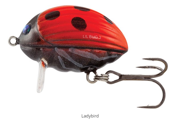 SALMO LIL BUG LADYBIRD FROM PREDATOR TACKLE.jpg Salmo Lil Bug 3cm